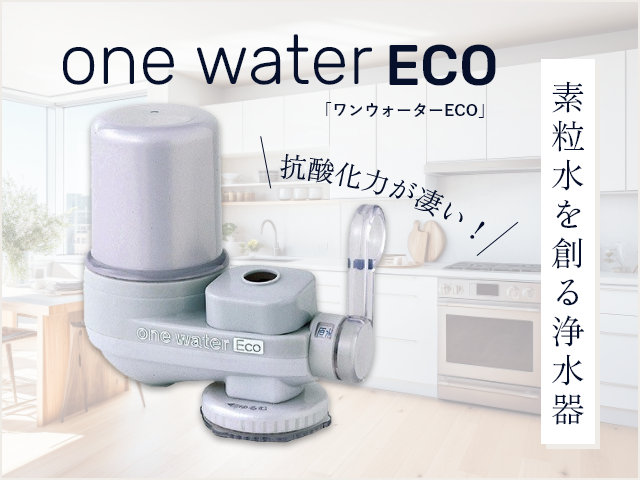 日本規格素粒水浄水器　ワンウォーターECO 浄水器・整水器